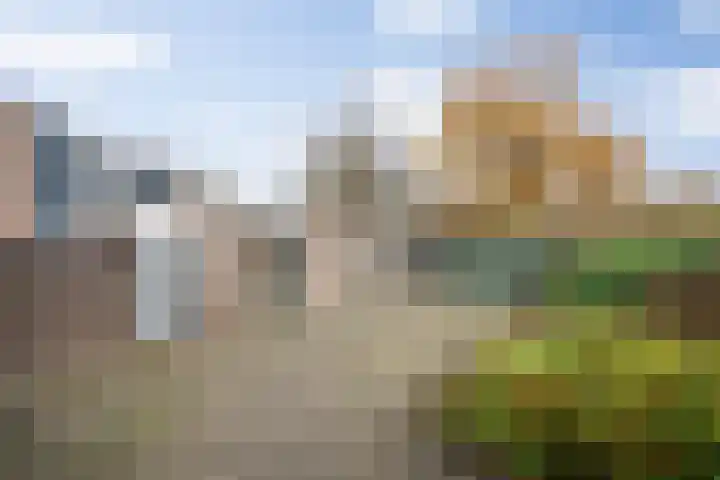 Vorsenpoel 51 Boxtel thumbnail 36
