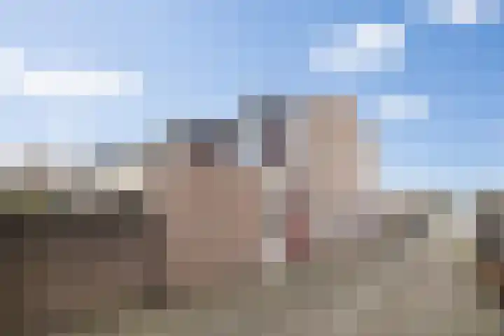 Vorsenpoel 51 Boxtel thumbnail 41
