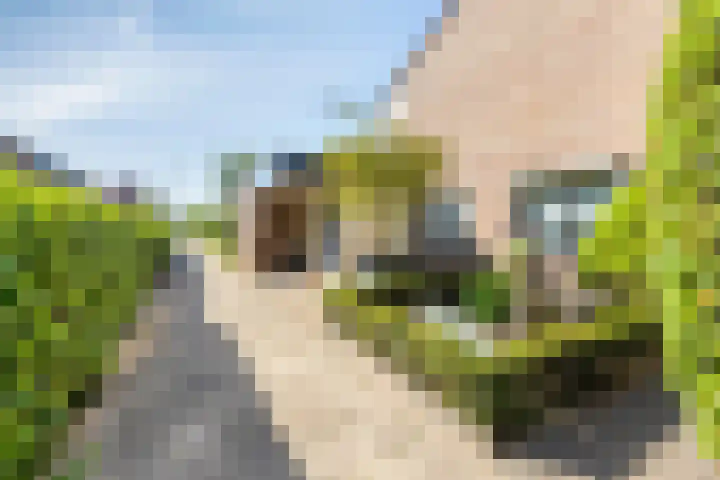 Vorsenpoel 66 a Boxtel thumbnail 28