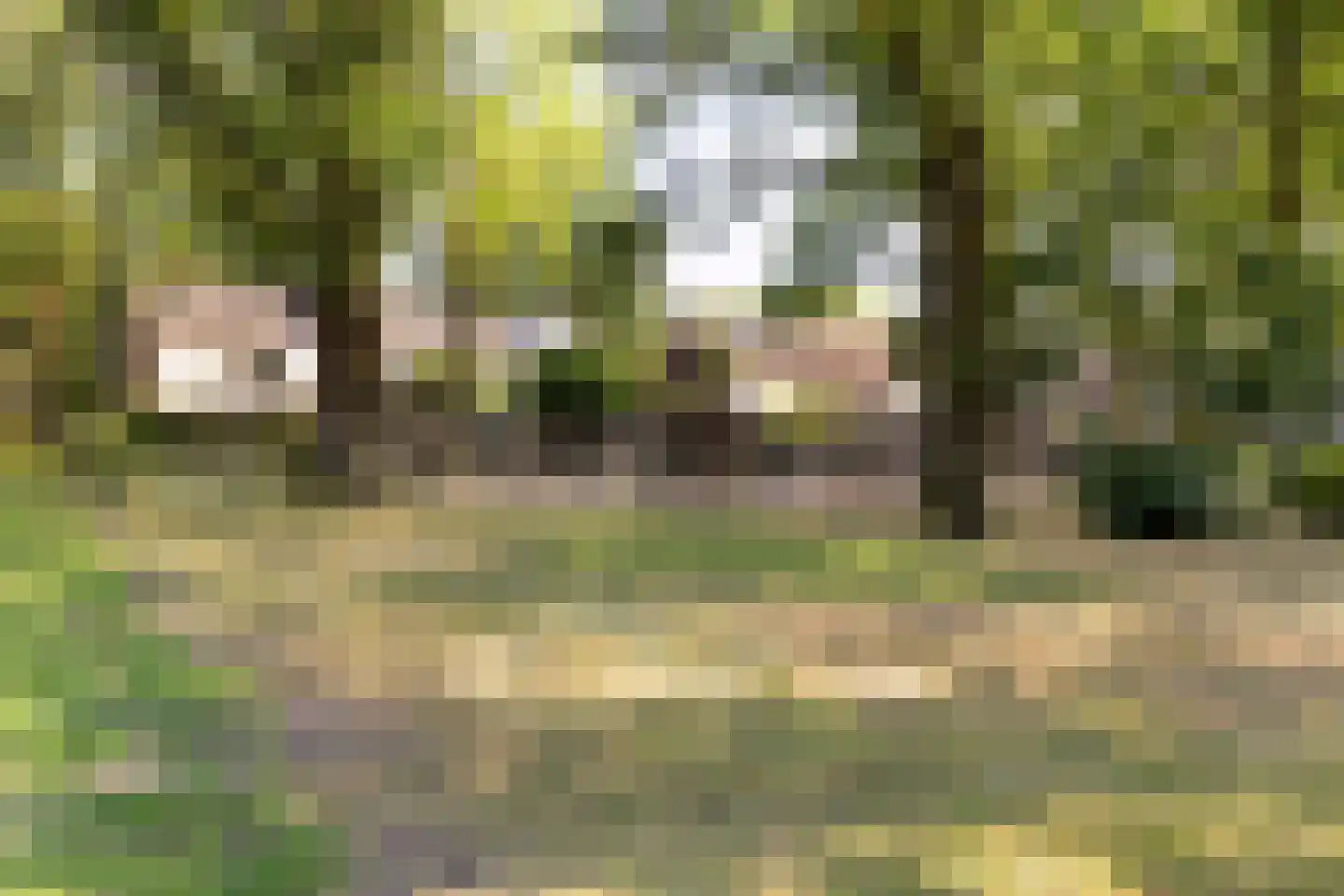 Vorsenpoel 66 a Boxtel thumbnail 30