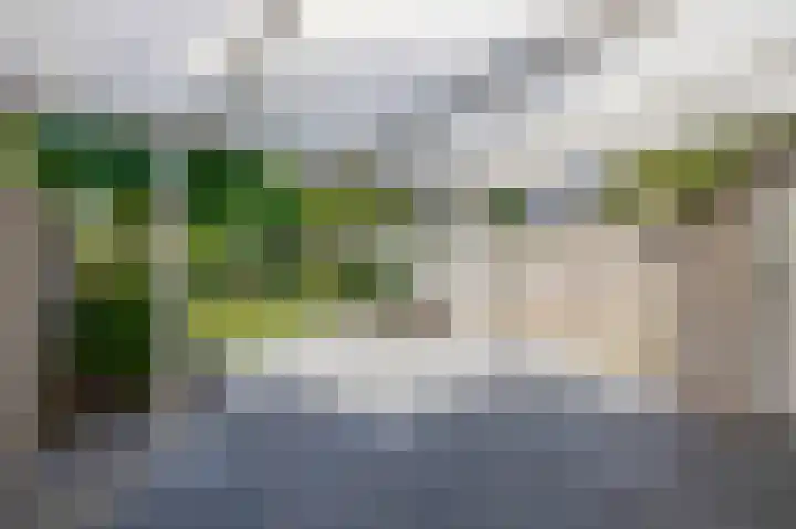 Vorsenpoel 83 Boxtel thumbnail 20