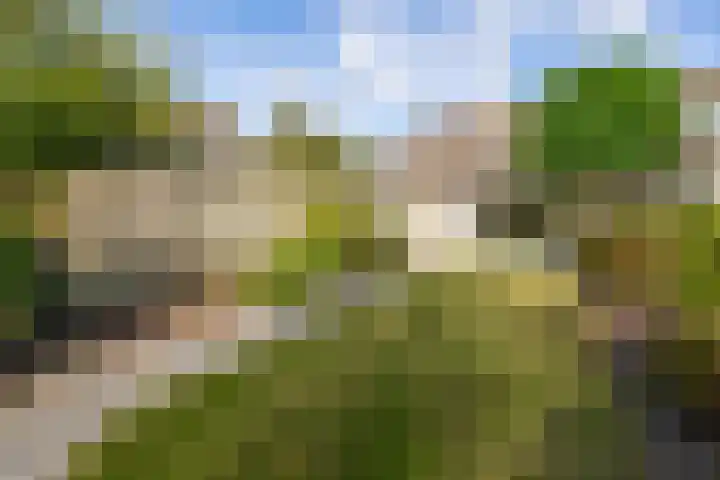 Vorsenpoel 83 Boxtel thumbnail 21