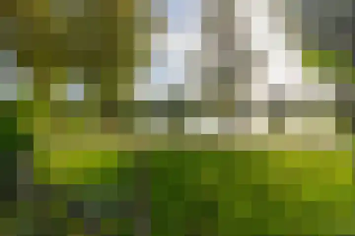 Vorsenpoel 83 Boxtel thumbnail 23