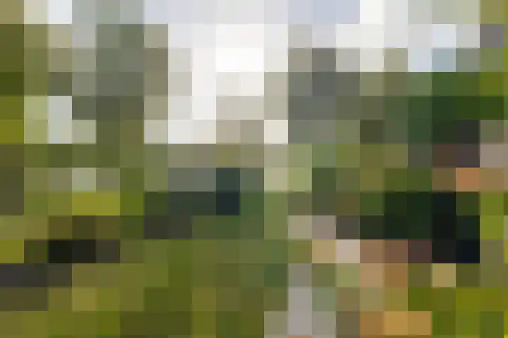 Vorsenpoel 83 Boxtel thumbnail 25