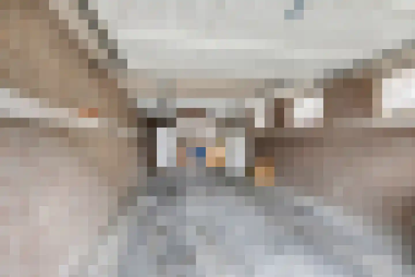 Vorsenpoel 84 Boxtel thumbnail 33