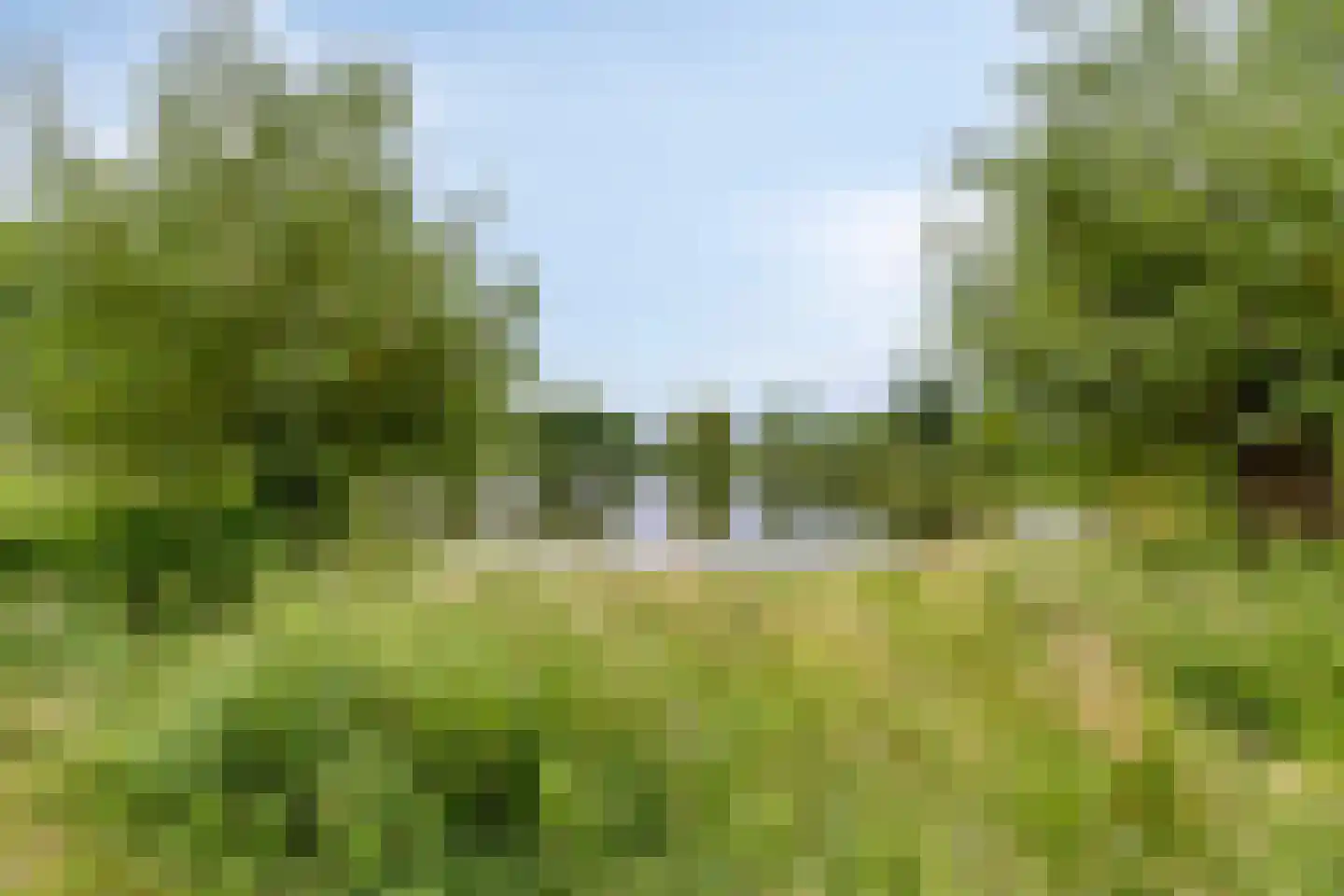 Vorsenpoel 84 Boxtel thumbnail 40