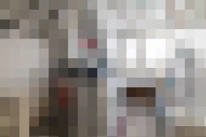 Vorspoellanden 12 Enschede thumbnail 32