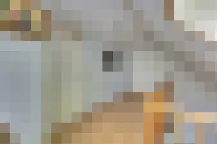 Vorspoellanden 7 Enschede thumbnail 17