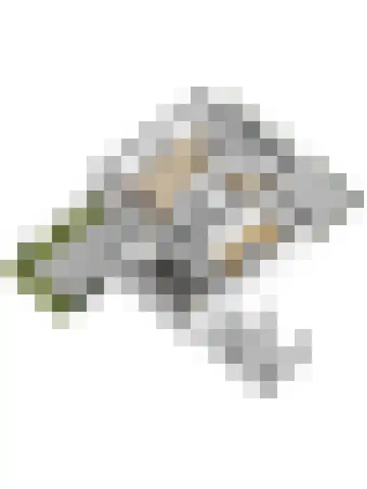 Vorspoellanden 7 Enschede thumbnail 31