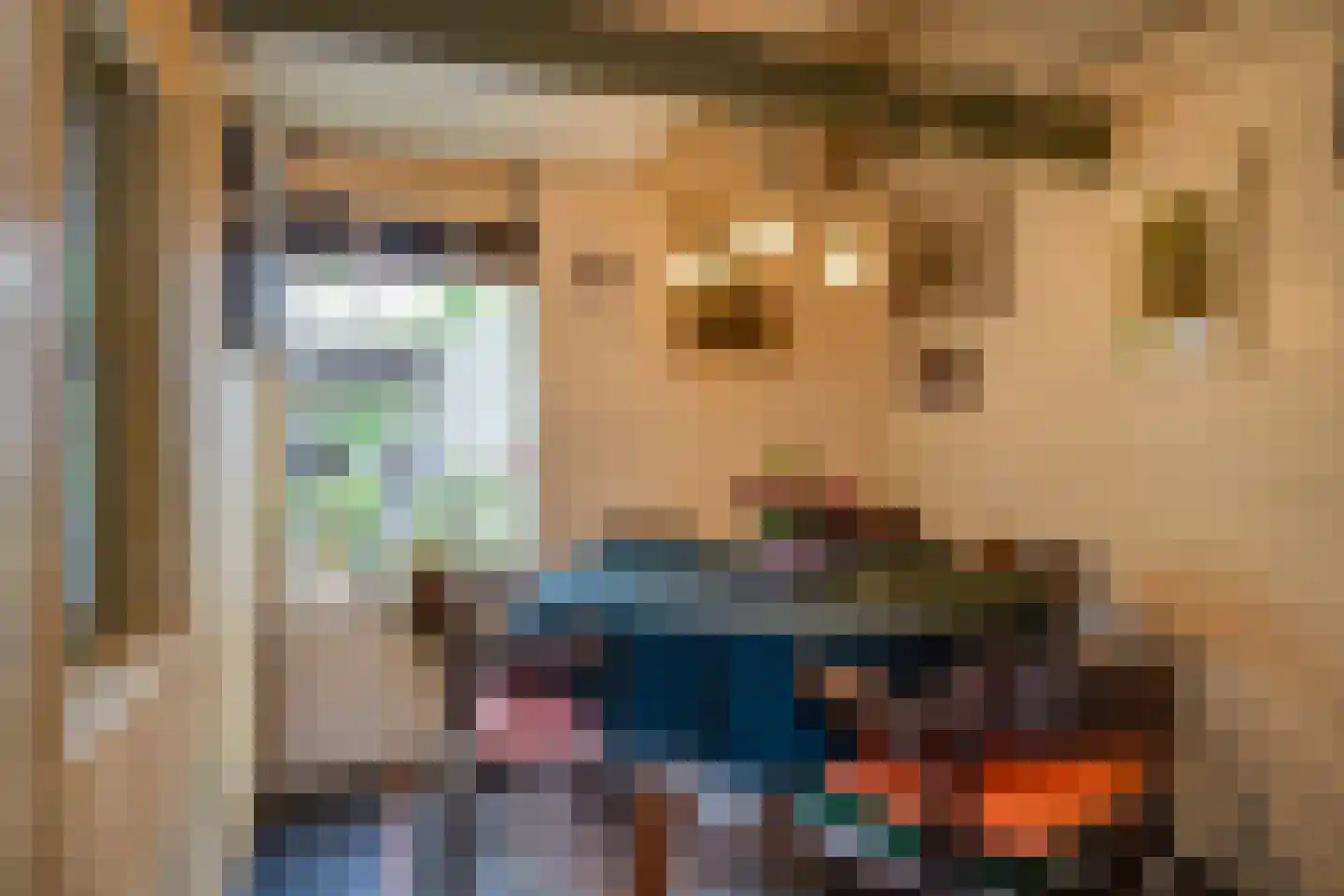 Vorstenburg 15 Uden thumbnail 18