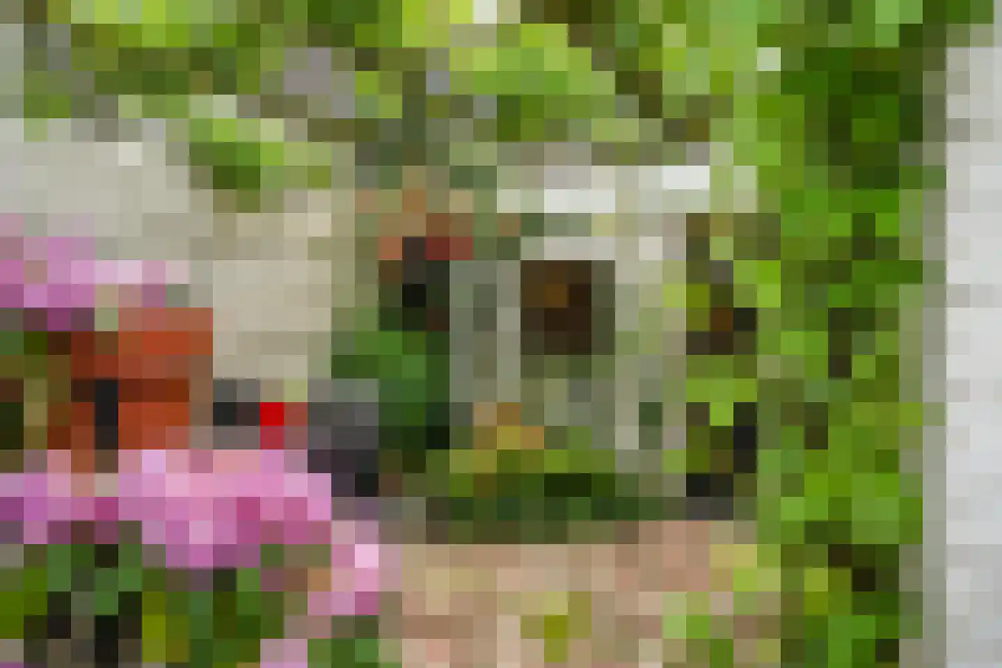 Vorstenburg 15 Uden thumbnail 25