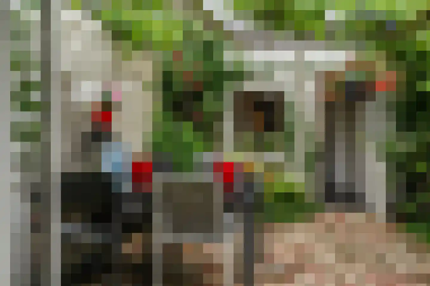 Vorstenburg 15 Uden thumbnail 26
