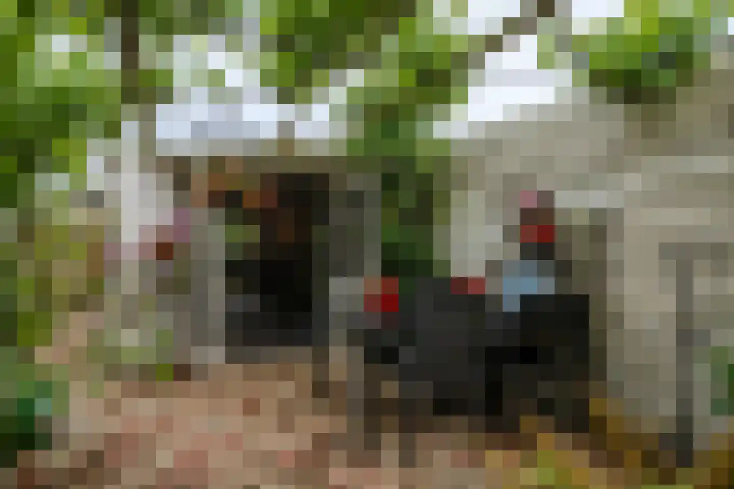 Vorstenburg 15 Uden thumbnail 28