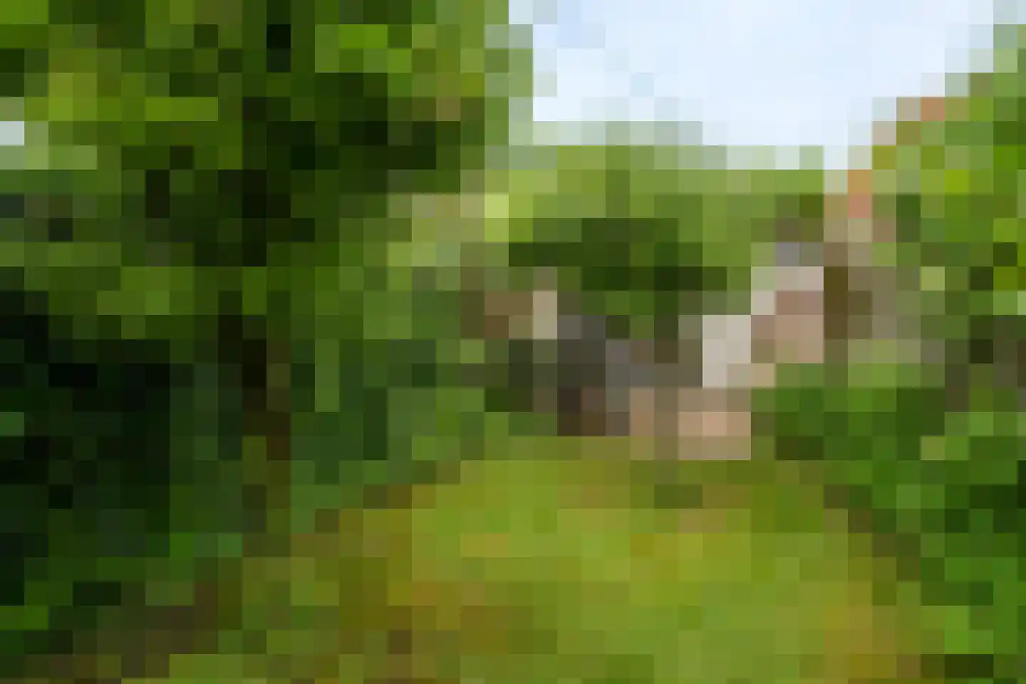 Vorstenburg 15 Uden thumbnail 32
