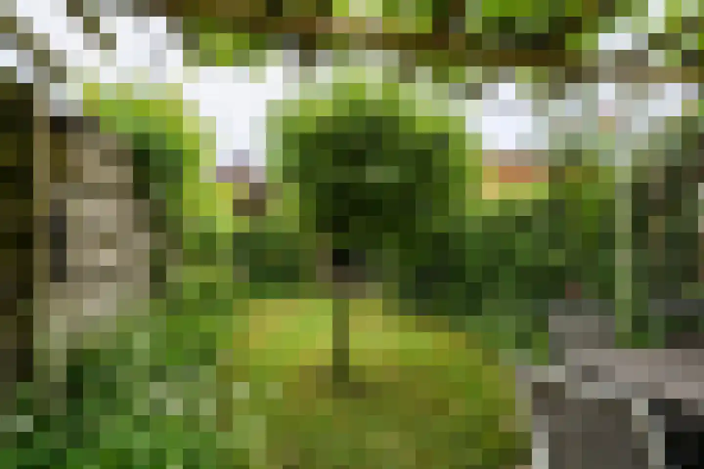 Vorstenburg 15 Uden thumbnail 33