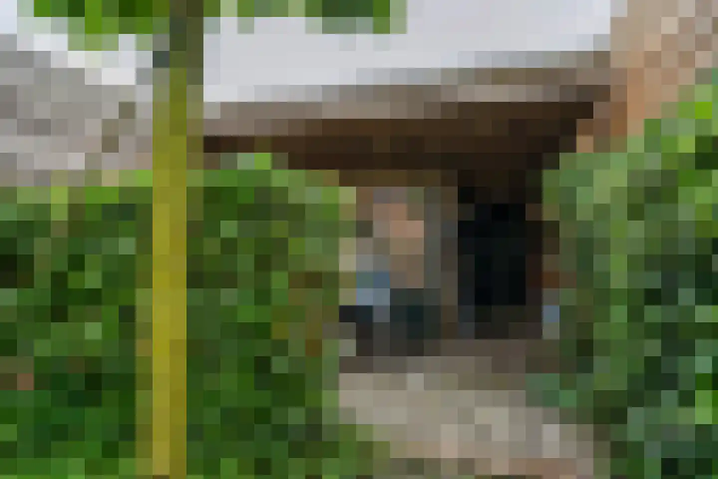 Vorstenburg 15 Uden thumbnail 34