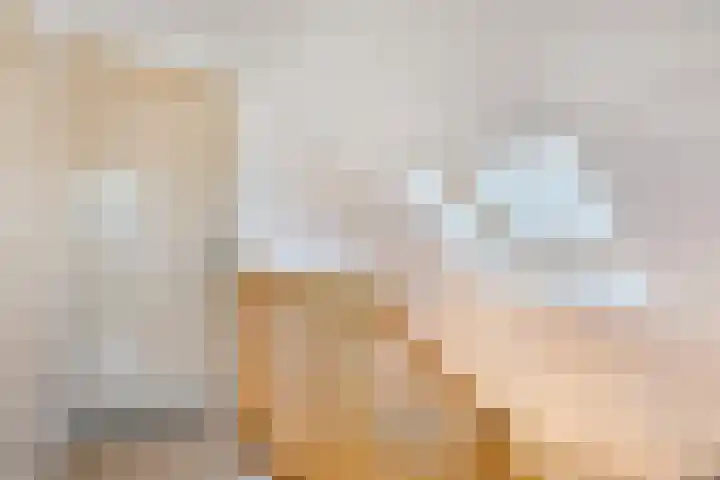 Vorstendom 11 Etten-Leur thumbnail 29