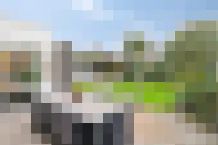 Vorstendom 11 Etten-Leur thumbnail 38