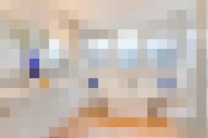 Vorstendom 11 Etten-Leur thumbnail 4