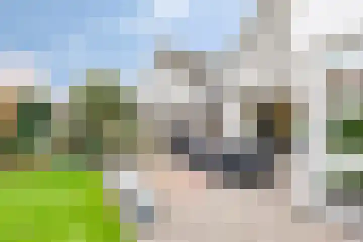 Vorstendom 11 Etten-Leur thumbnail 41