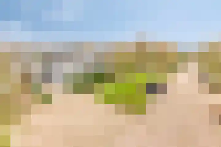 Vorstendom 11 Etten-Leur thumbnail 6