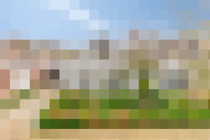 Vorstendom 11 Etten-Leur thumbnail 7