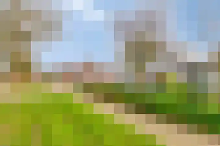 Vorstendom 11 Etten-Leur thumbnail 8