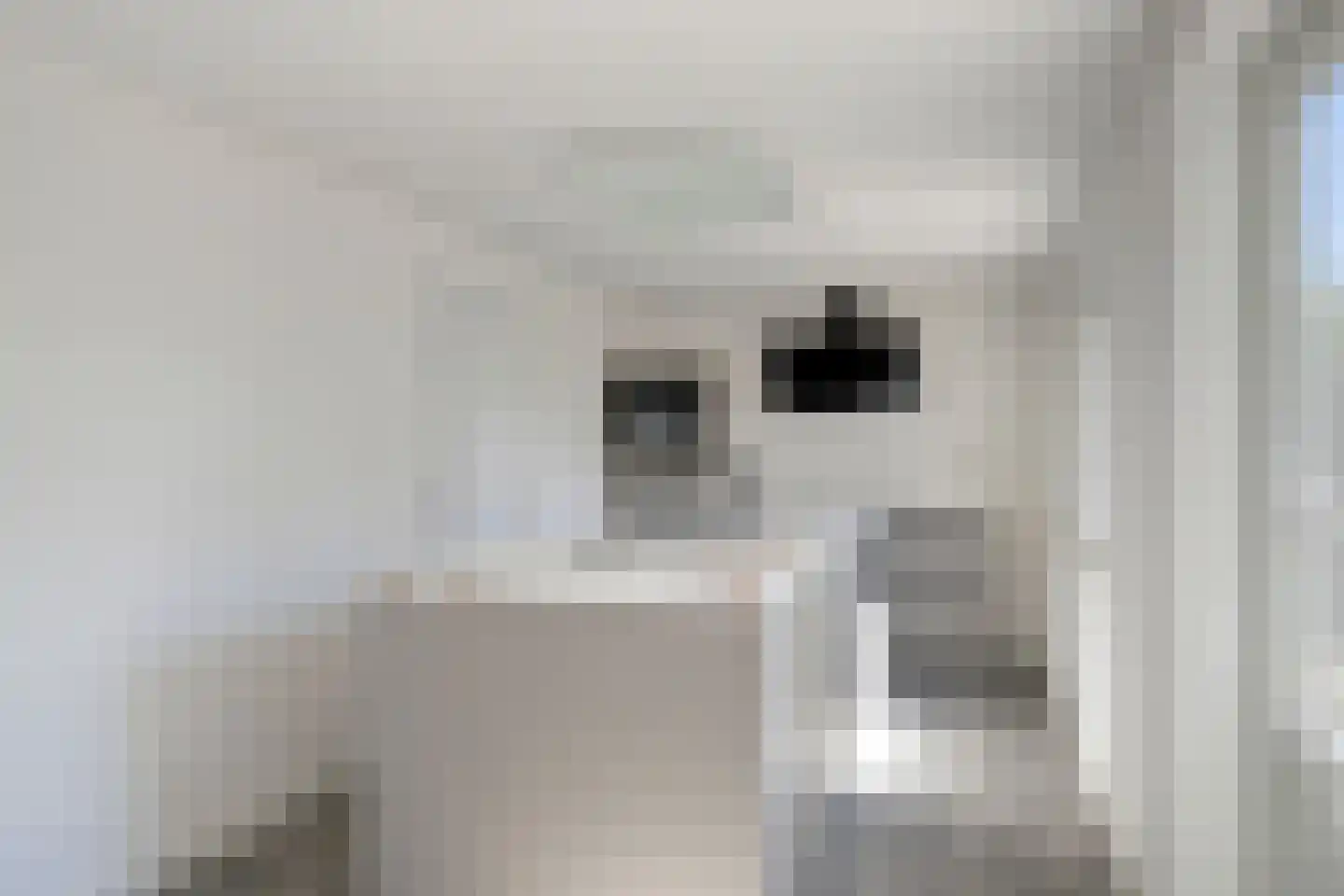 Vorstendom 28 Cuijk thumbnail 13