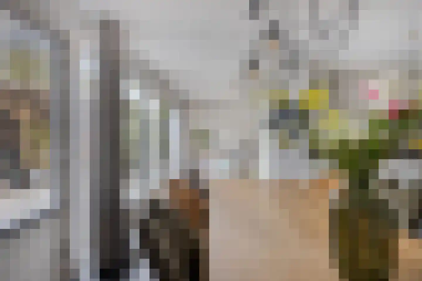Vorstendom 4 Etten-Leur thumbnail 17