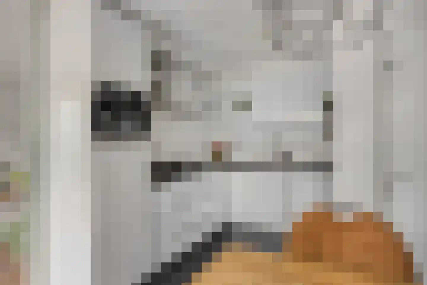 Vorstendom 4 Etten-Leur thumbnail 18