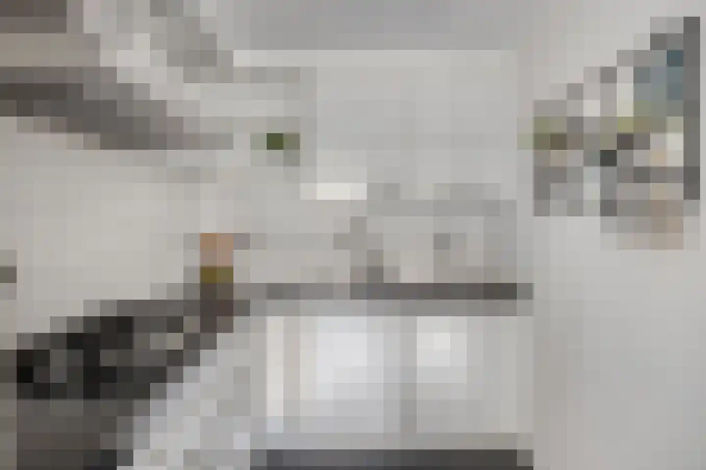 Vorstendom 4 Etten-Leur thumbnail 19