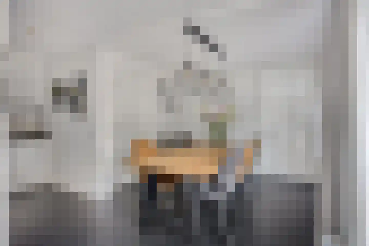 Vorstendom 4 Etten-Leur foto 3
