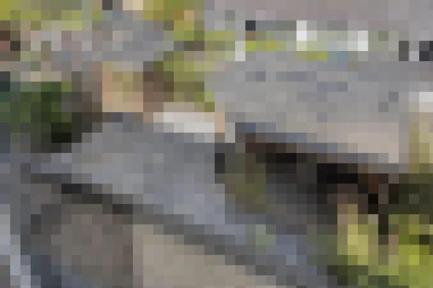 Vorstendom 4 Etten-Leur thumbnail 40