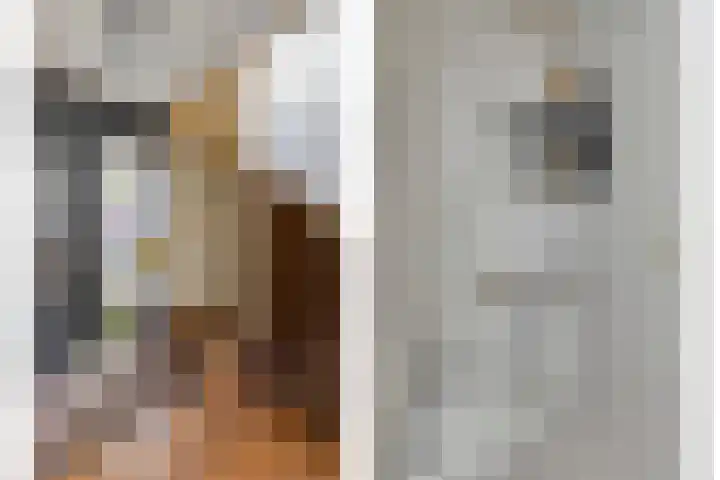 Vorstendom 6 Etten-Leur thumbnail 10