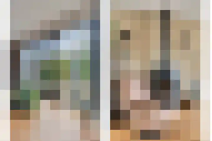 Vorstendom 6 Etten-Leur thumbnail 13