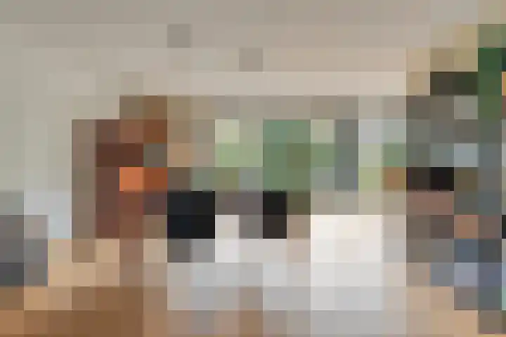 Vorstendom 6 Etten-Leur thumbnail 16