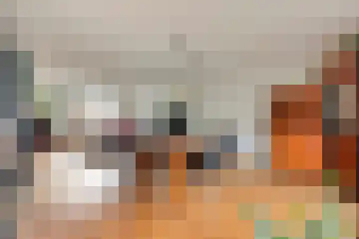 Vorstendom 6 Etten-Leur thumbnail 18