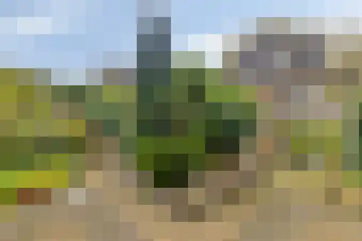 Vorstendom 6 Etten-Leur thumbnail 22