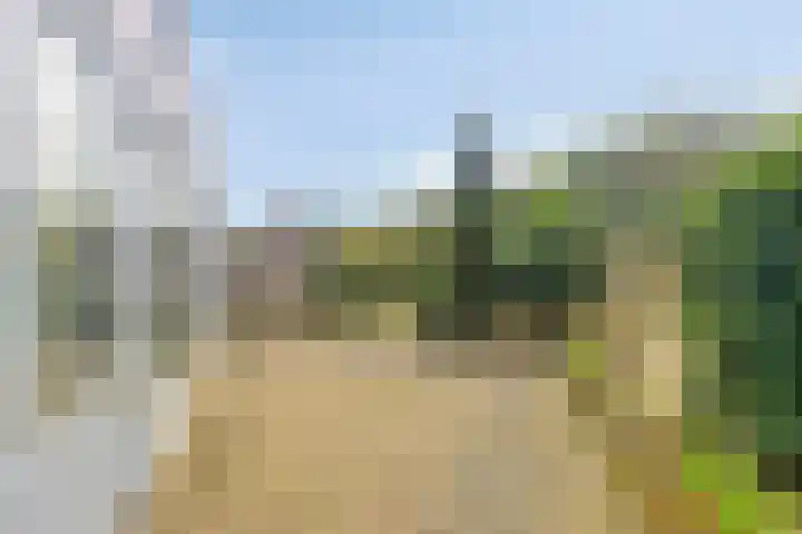 Vorstendom 6 Etten-Leur thumbnail 23