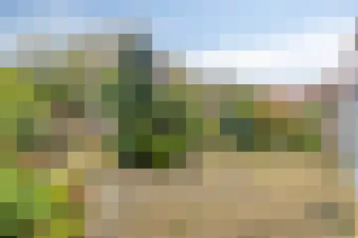 Vorstendom 6 Etten-Leur thumbnail 25