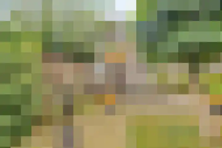 Vorstendom 6 Etten-Leur thumbnail 26