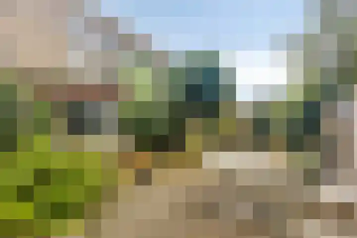 Vorstendom 6 Etten-Leur thumbnail 29