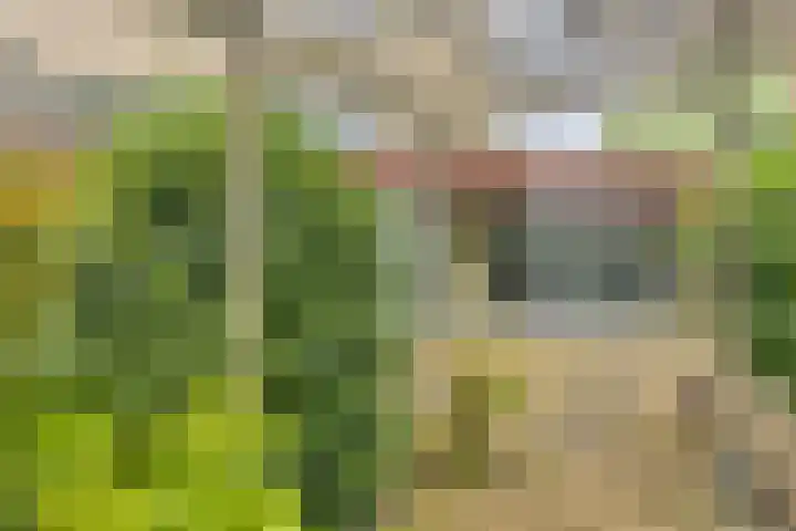 Vorstendom 6 Etten-Leur thumbnail 30
