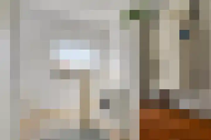 Vorstendom 6 Etten-Leur thumbnail 40