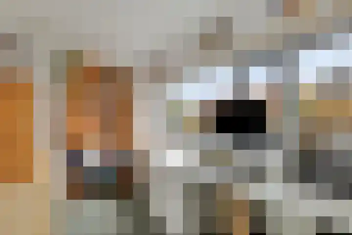 Vorstendom 6 Etten-Leur thumbnail 43