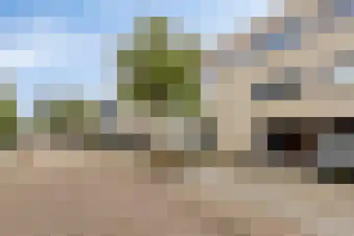 Vorstendom 6 Etten-Leur thumbnail 6