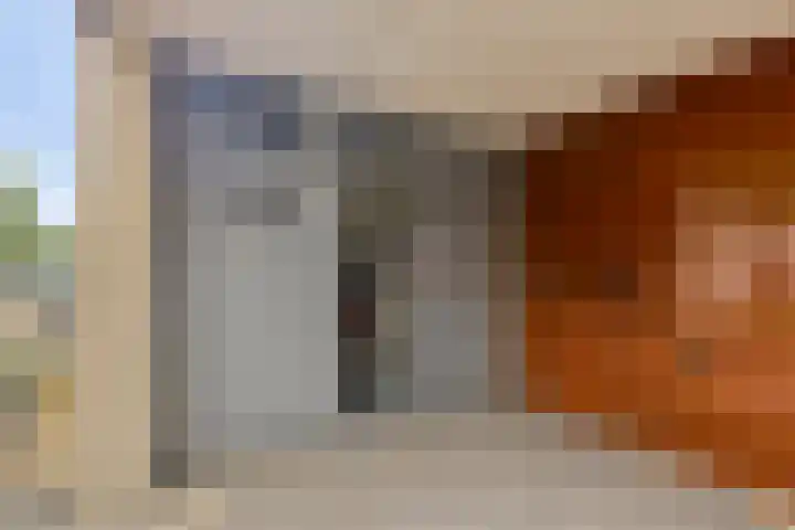 Vorstendom 6 Etten-Leur thumbnail 9