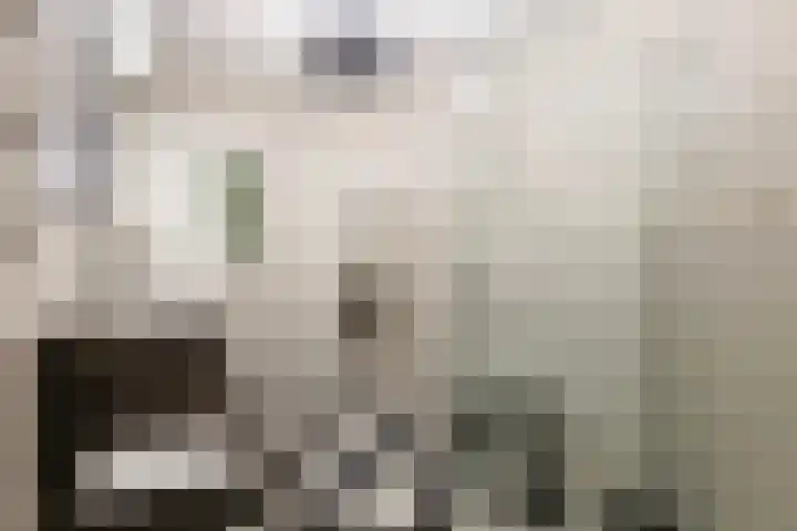 Vorstenhof 32 Apeldoorn thumbnail 16