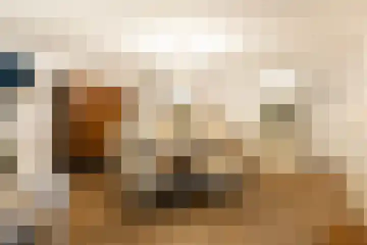 Vorstenhof 32 Apeldoorn thumbnail 22