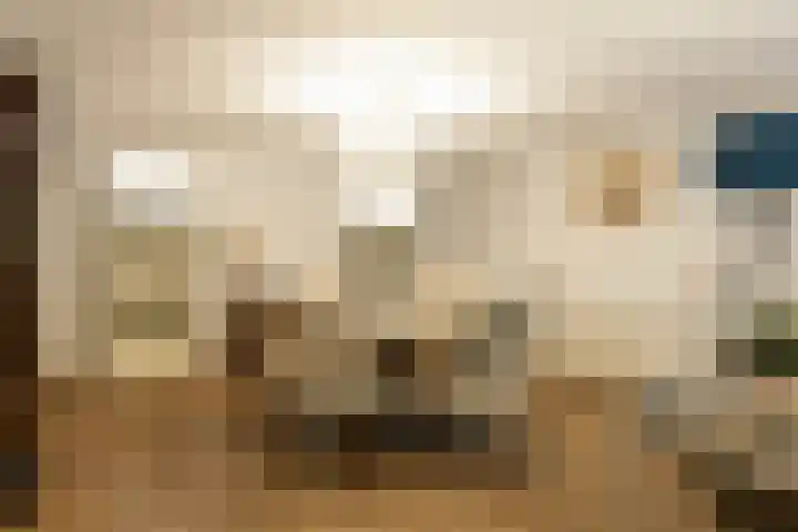 Vorstenhof 32 Apeldoorn thumbnail 23